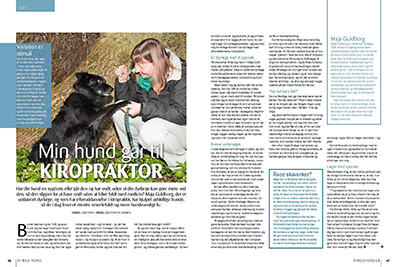 VMH0514_Hundekiropraktor_Page_1