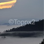Borneo12