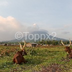 DRCongo19
