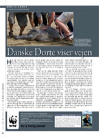 dk0807_66_WWF_klumme